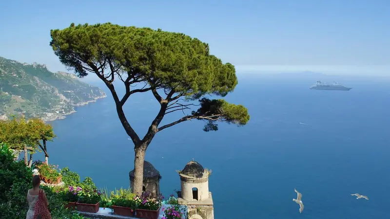 Pino marittimo sul belvedere di Ravello con vista mare