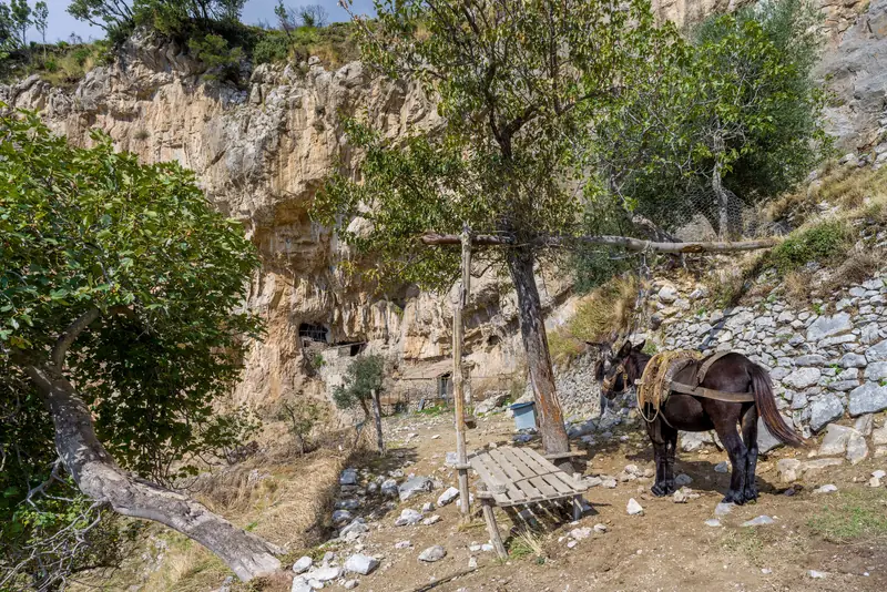 Un mulo davanti a un rifugio di pastori lungo il Sentiero degli Dei, sopra Agerola